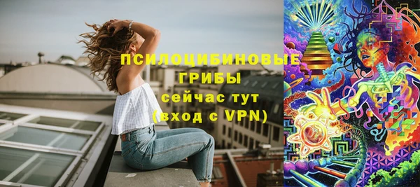 твердый Куйбышев